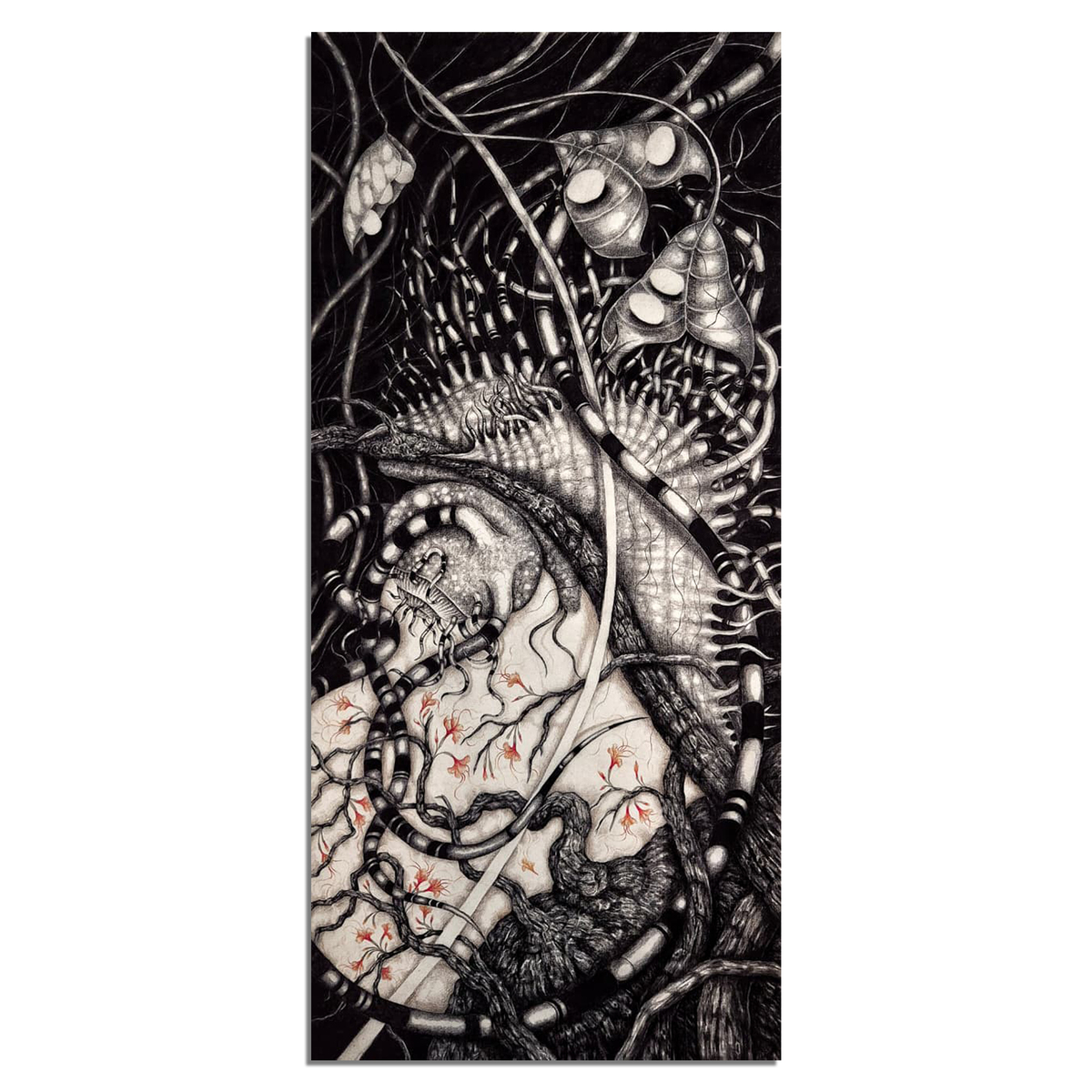 The Snail (Silent Stories Series)