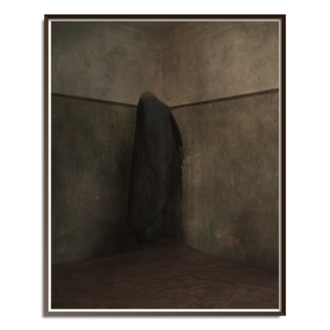 Untitled (edition 1/3)