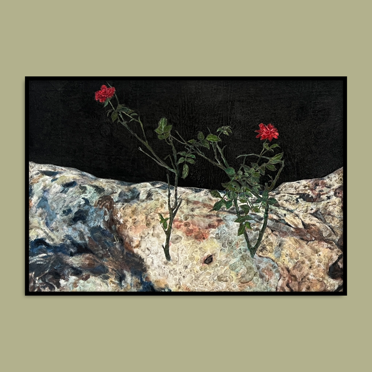 Unplanted Rose