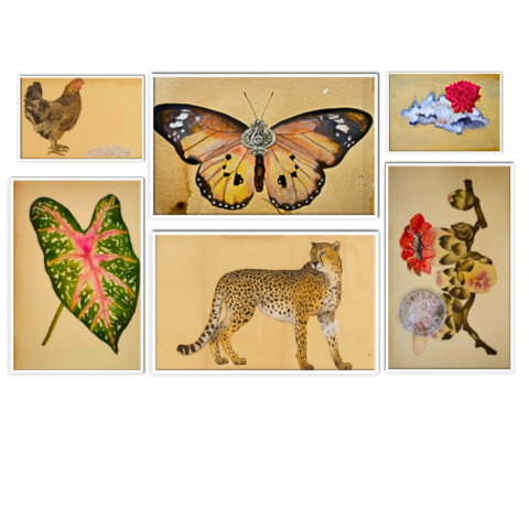 Untitled (set of 6)