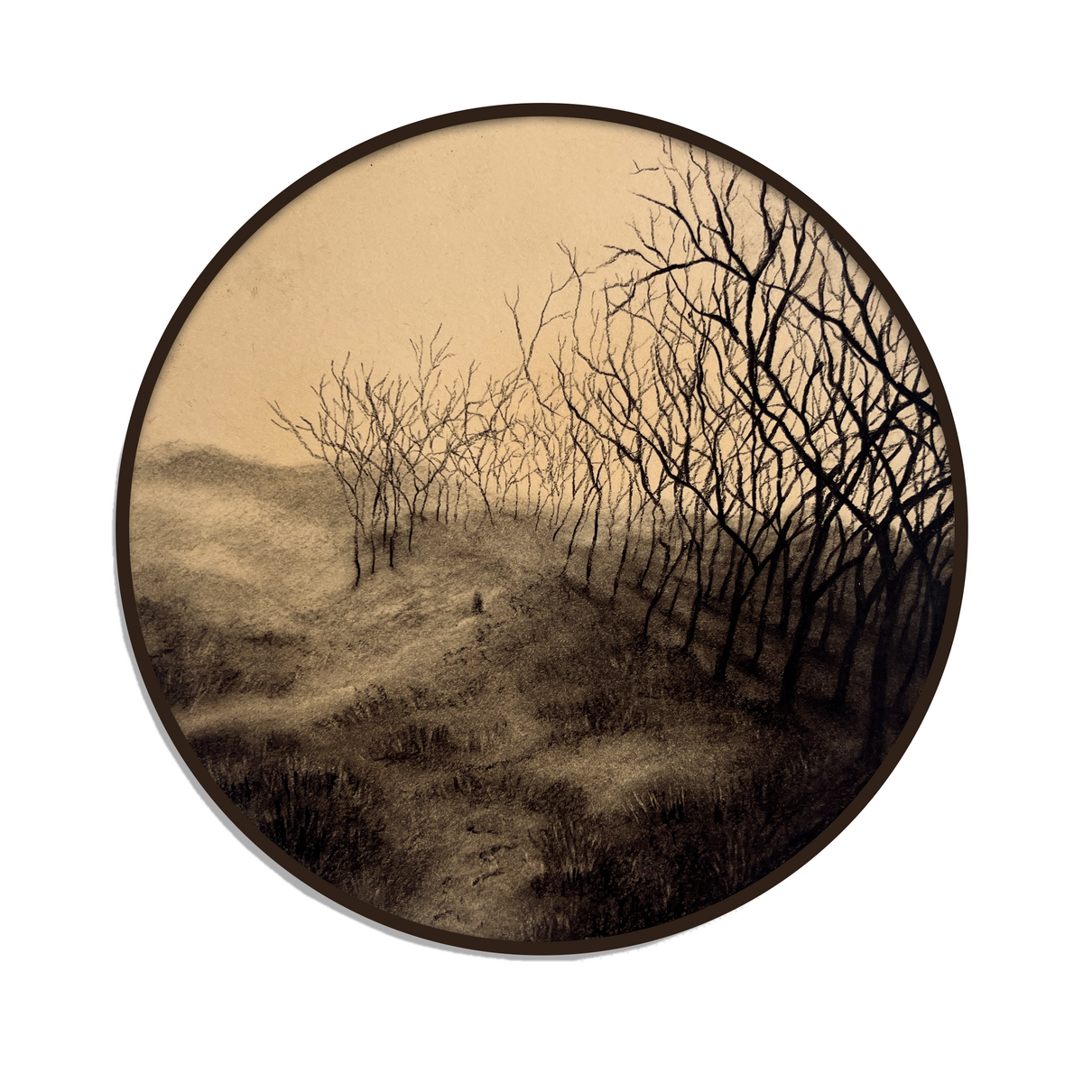 Mindscape 49